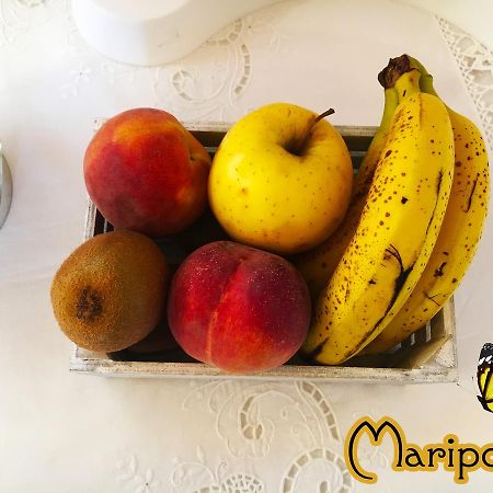 B&B Mariposa Sennori Dış mekan fotoğraf